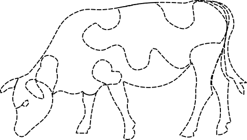Cow 2