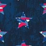 Camo Stars Navy All-American from Whistler Studios
