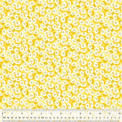 Wild Flour Daisy Field Yellow by Whistler Studios