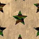 Camo Stars All-American from Whistler Studios